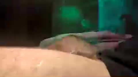 den2807 online show from July 30, 1:57 am