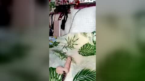 deniselevi online show from August 9, 11:22 am