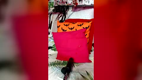 deniselevi online show from August 14, 12:42 pm