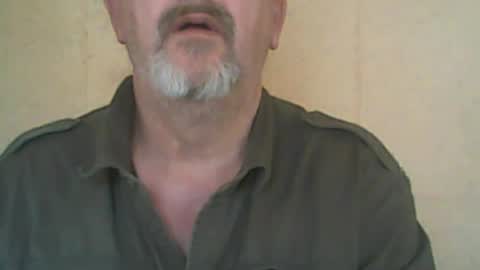 destelp online show from August 6, 2:27 pm