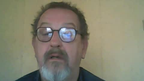 destelp online show from September 6, 8:42 am