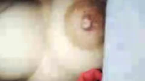 desurvv0999 online show from July 10, 11:05 am