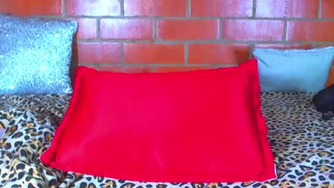 devil_taylorx online show from September 5, 11:54 pm