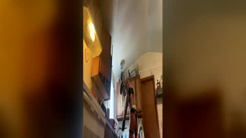 devilinsidedaisy online show from June 11, 9:54 pm