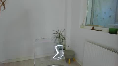 Kay online show from August 1, 7:36 am