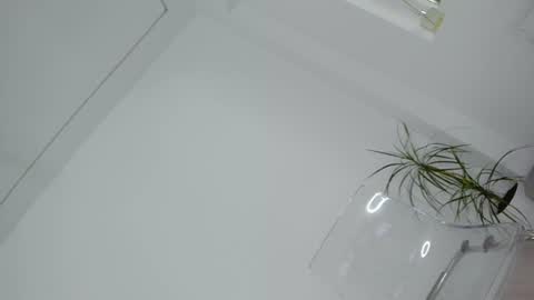 Kay online show from August 11, 9:33 am