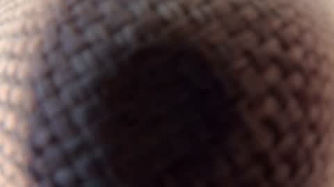 dible18 online show from June 24, 6:10 pm