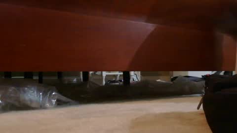 dildosnme22 online show from August 3, 9:38 am