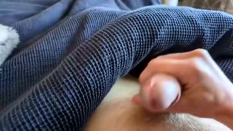 dirkd85 online show from May 1, 12:20 pm