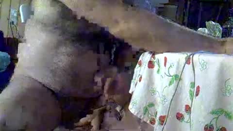 DKdad online show from September 2, 7:38 pm