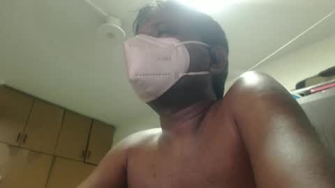 Dark brown with pink head online show from May 4, 5:03 pm