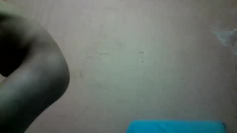 dogman2219 online show from July 5, 12:57 am