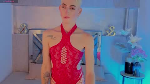 Dominic online show from August 15, 3:05 pm