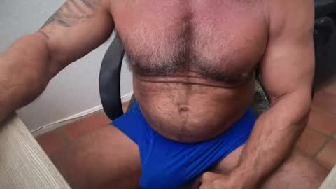 donk566 online show from August 12, 8:00 pm