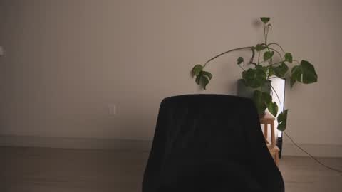 sara dez jiggly puff online show from June 26, 3:54 am