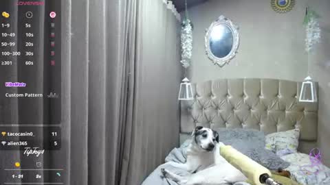 Sophia online show from August 3, 11:23 pm