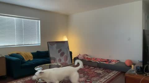 Rianna online show from July 28, 6:36 pm