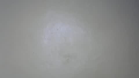 drip pussy online show from August 13, 3:42 am