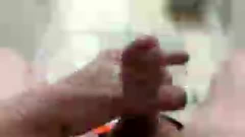 drippingrabbit online show from August 7, 2:17 pm