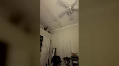 Drippy kitty  online show from May 26, 11:44 am