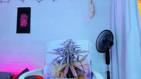 drippyorlove online show from August 12, 9:17 pm