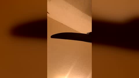 edioo online show from August 18, 7:36 am
