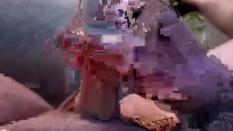 edwilsnod online show from August 15, 2:59 am