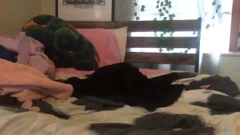 eggnog_and_booty online show from August 6, 2:16 pm