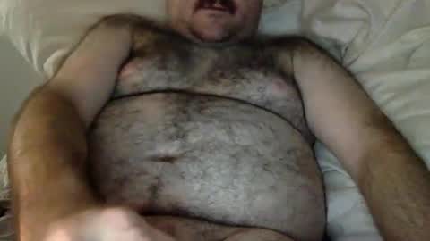 elagobear online show from May 27, 5:42 am