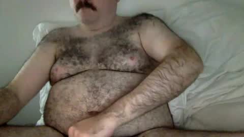 elagobear online show from June 29, 2:26 am