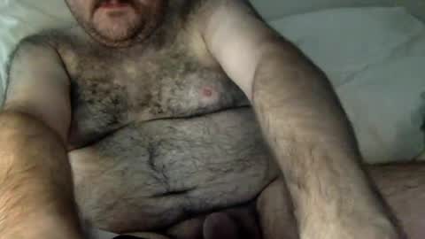 elagobear online show from July 15, 5:41 am