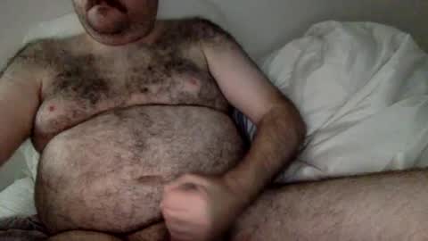 elagobear online show from July 26, 5:12 am