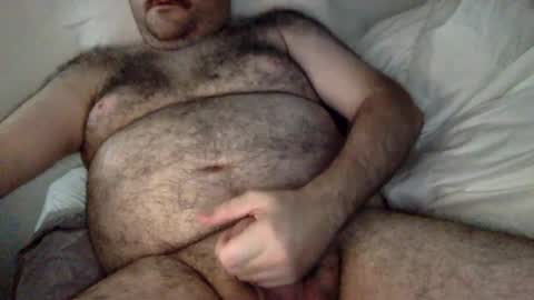 elagobear online show from July 26, 6:18 am