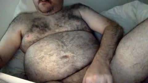 elagobear online show from July 27, 6:08 am