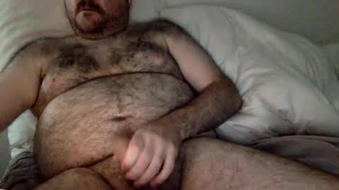 elagobear online show from August 5, 4:32 am