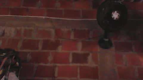 elara_gril online show from August 11, 9:50 pm