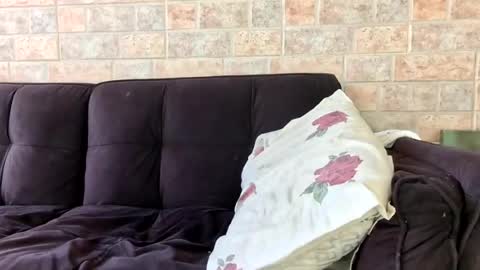 eldad3371 online show from August 12, 2:52 pm