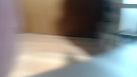 elephanttat8 online show from June 13, 9:17 am