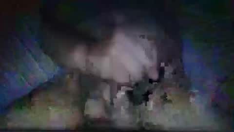 Hector Perez online show from June 1, 4:37 am