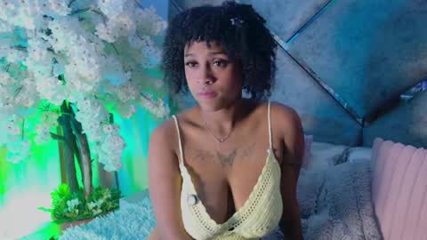 elit noa online show from August 11, 4:36 am