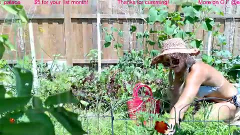 Ell  Jay online show from July 23, 6:10 pm