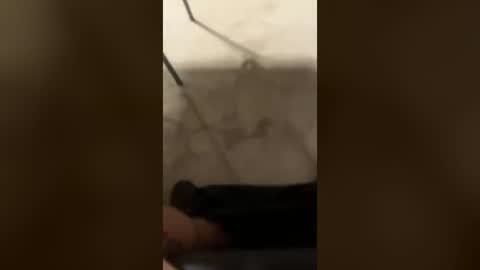 elprimo2134 online show from August 17, 9:53 pm