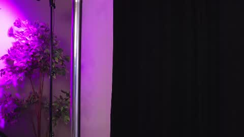 Emma online show from August 12, 8:49 am