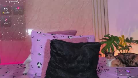 Emy online show from August 12, 2:14 am