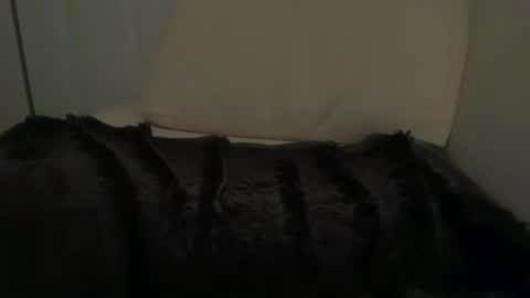 esmerledaswang online show from August 24, 8:32 am