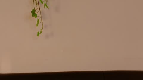 EVA DAEMON  online show from August 5, 6:28 pm