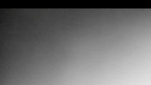 evans_collins24 online show from August 15, 7:45 am