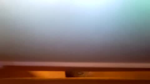 exhibitionvoyeurlive online show from August 9, 5:52 am