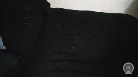 Exoticlexxii online show from August 13, 2:47 am