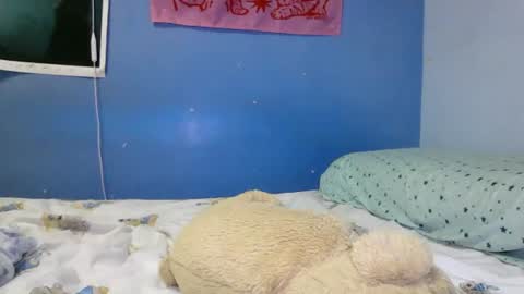 fairygirldick online show from July 30, 2:57 pm